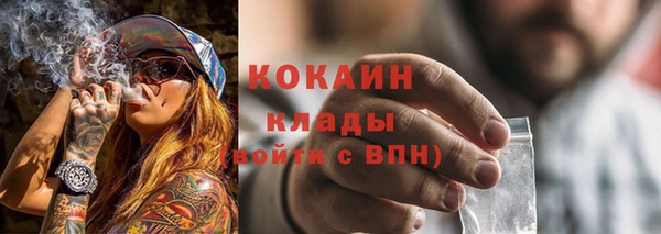 не бодяженный Гусев