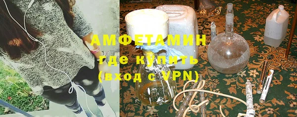 гидра Горняк