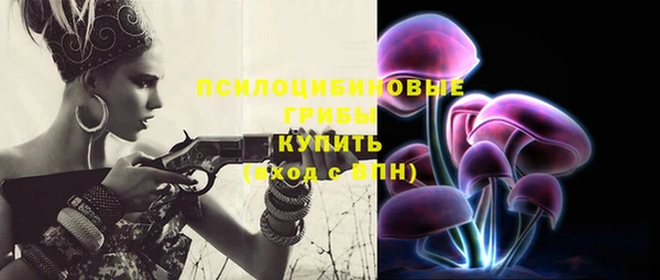 не бодяженный Гусев