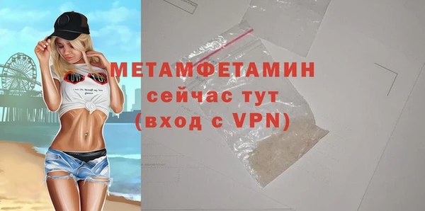 гидра Горняк