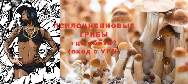 ALPHA-PVP Гусь-Хрустальный