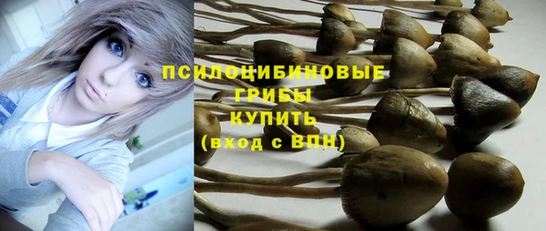 спиды Гусиноозёрск