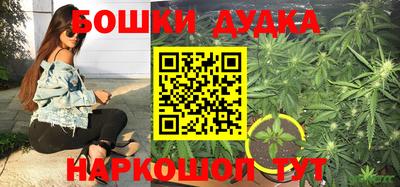 мдпв Изобильный