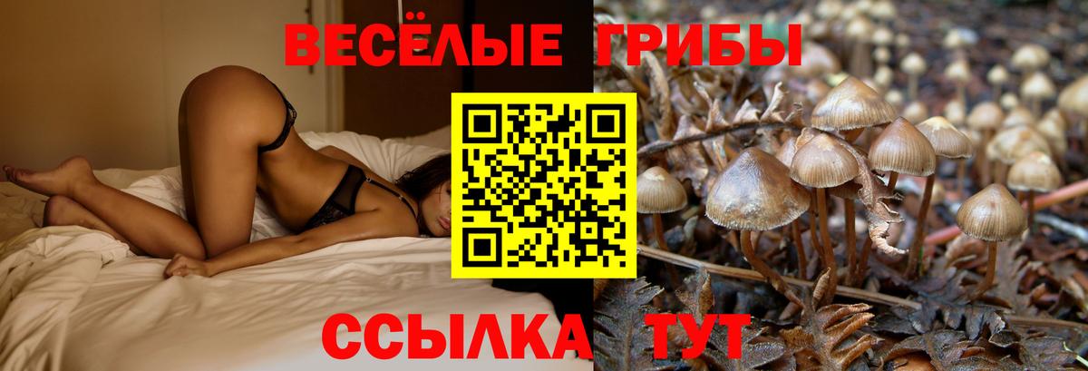 Осинники  Псилоцибиновые грибы GOLDEN TEACHER  Псилоцибиновые грибы Cubensis  Вход с VPN 